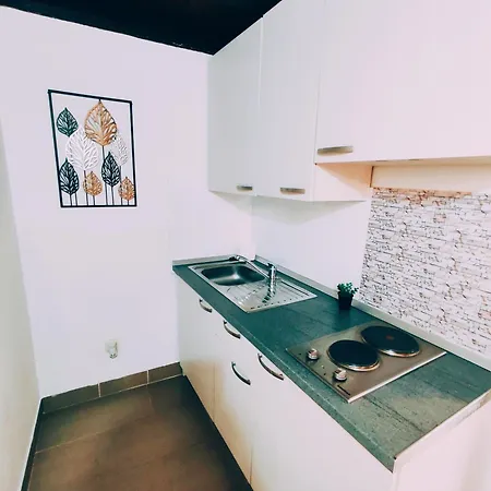 Apartment Stone House *
